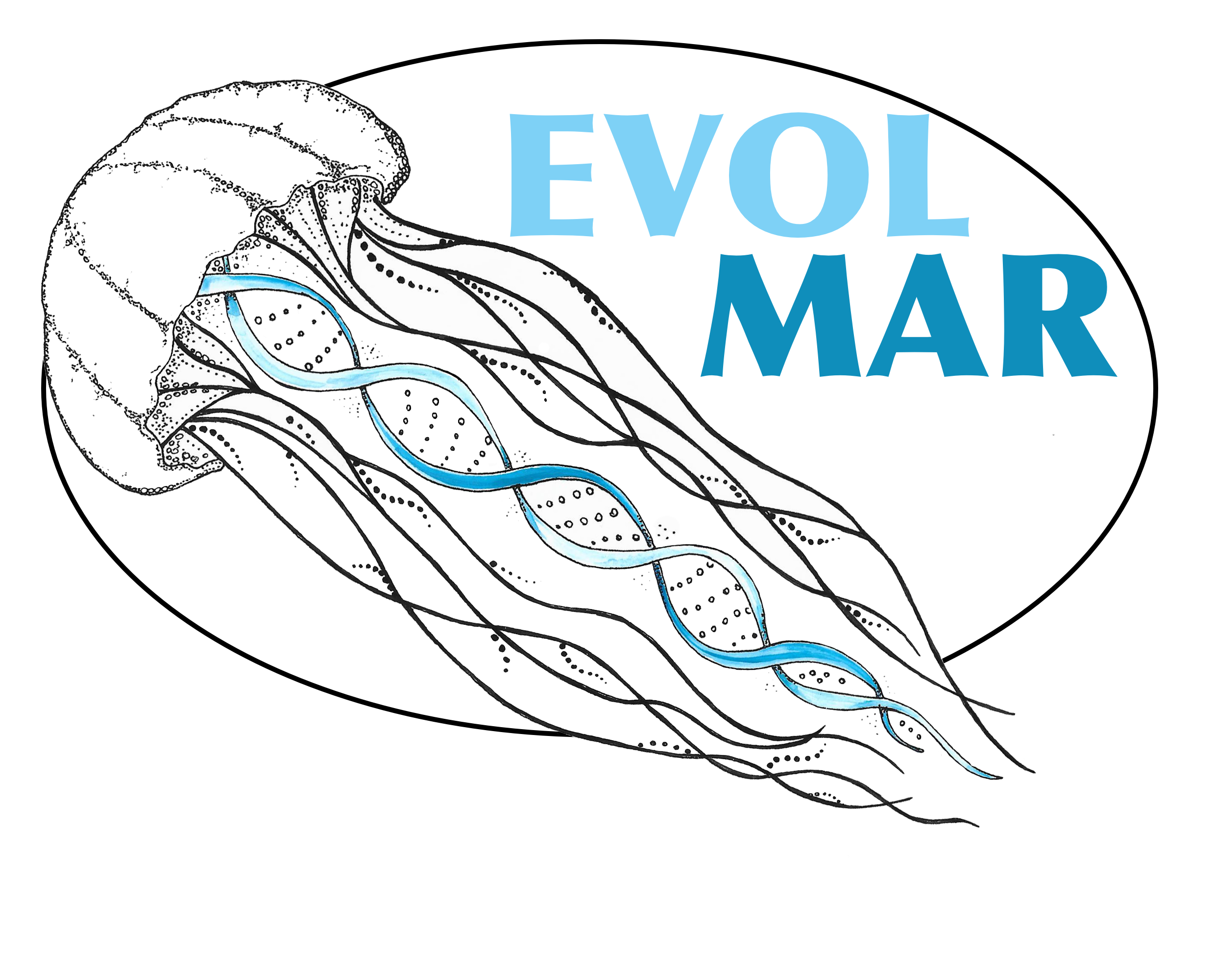 EVOLMAR 2020