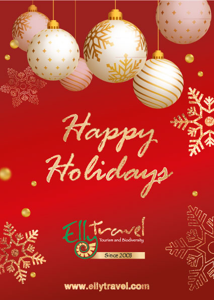 Happy Holidays 